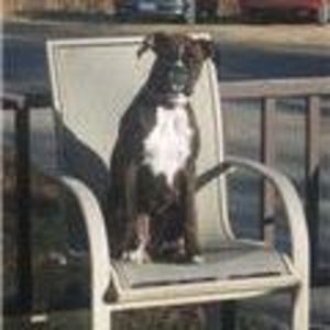 Meet your Posher, Julie